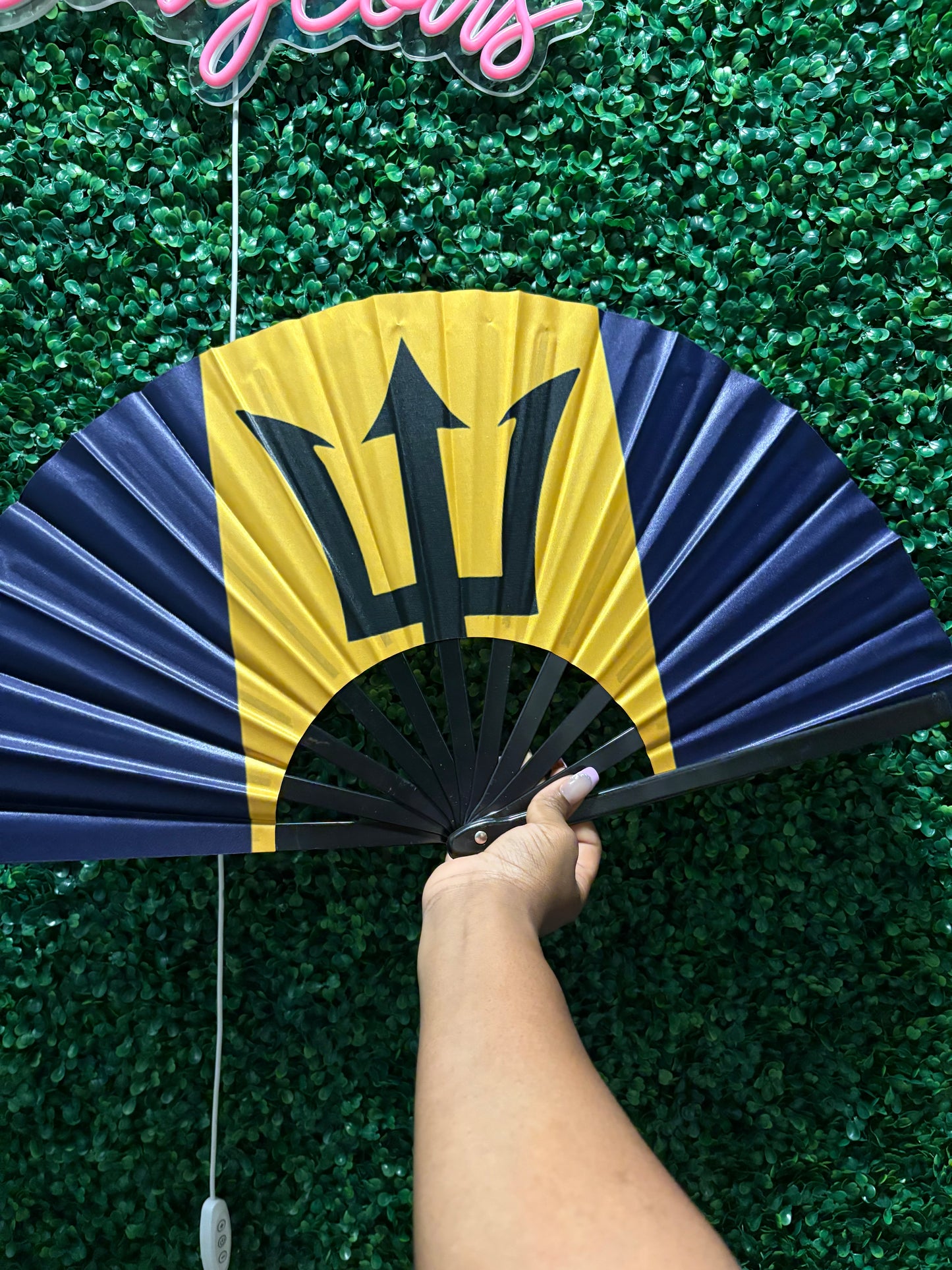 π΄ Bamboo Road Fan β Carnival Edition