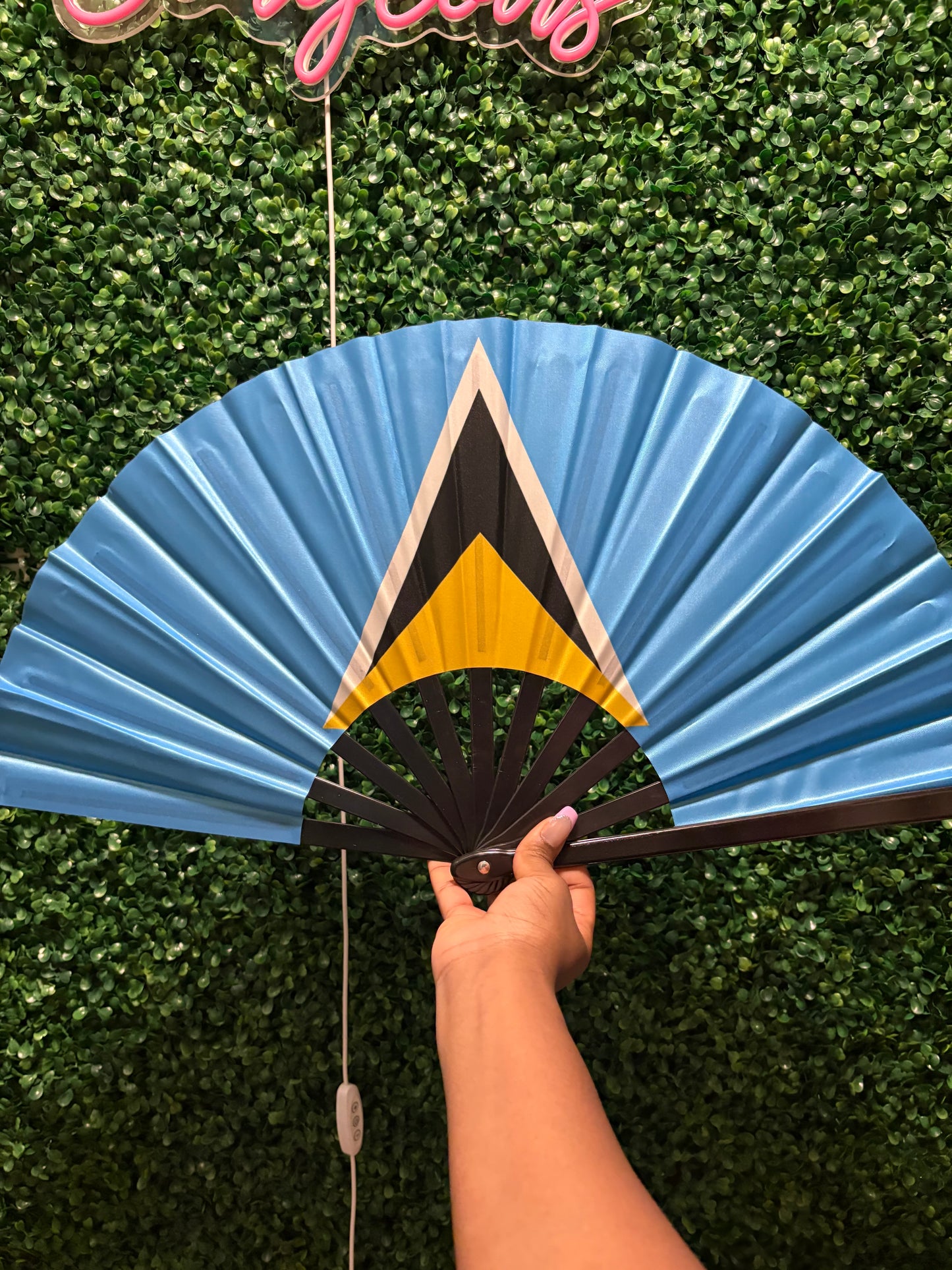 π΄ Bamboo Road Fan β Carnival Edition