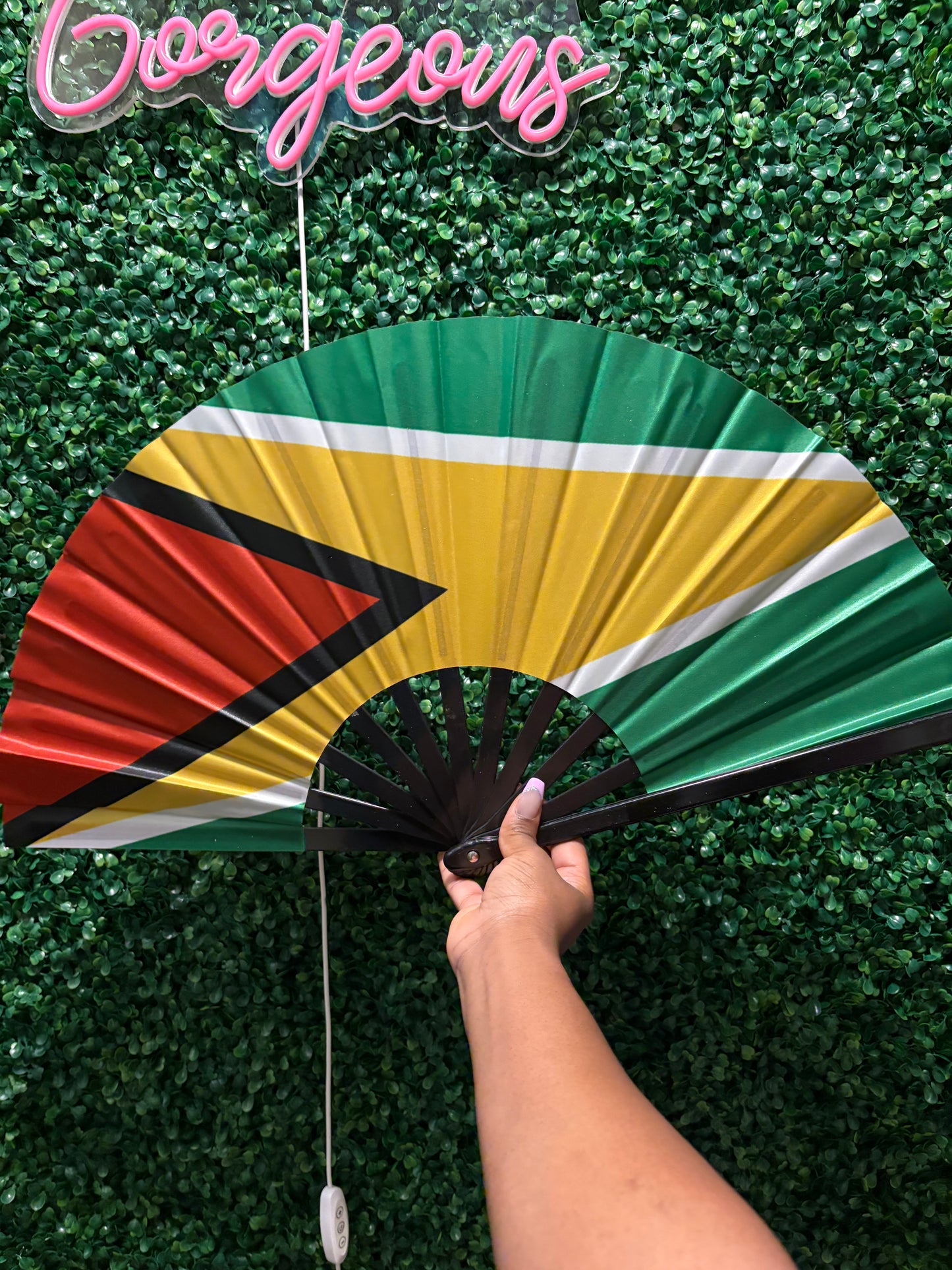 π΄ Bamboo Road Fan β Carnival Edition